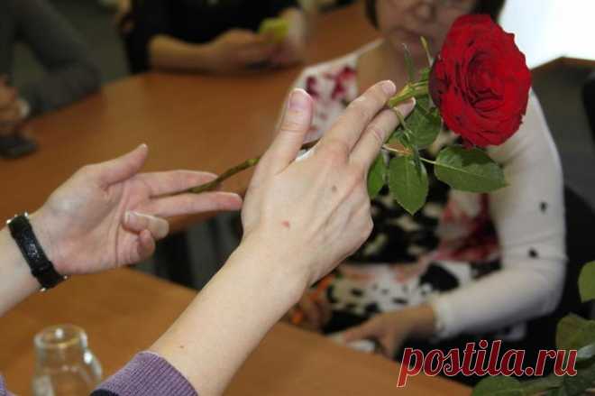 Размножение роз черенками