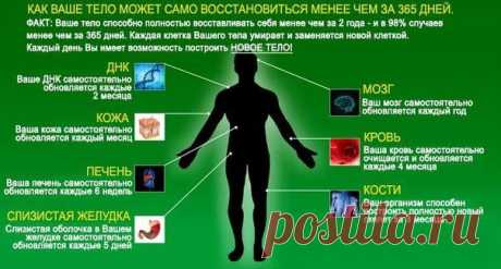 Регенерация Омоложение Новые Зубы