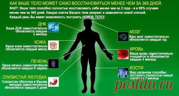 Регенерация Омоложение Новые Зубы