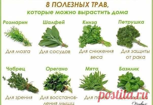 (14) Одноклассники