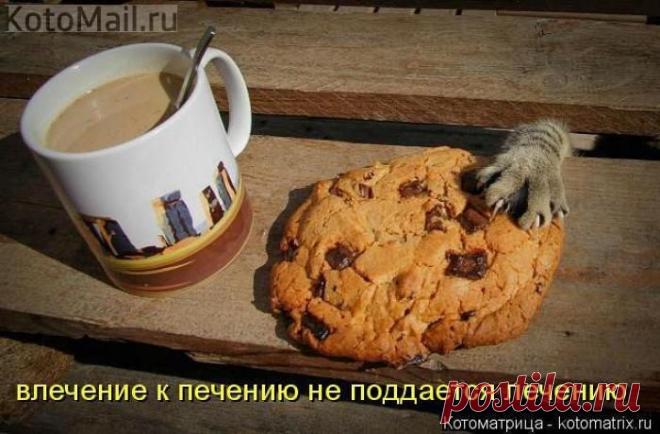 Влечение. | KotoMail.ru