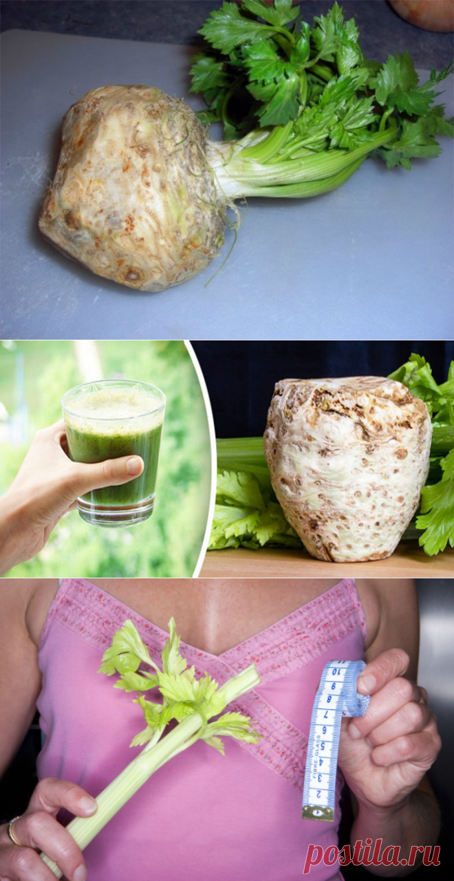 Свойства сока сельдерея