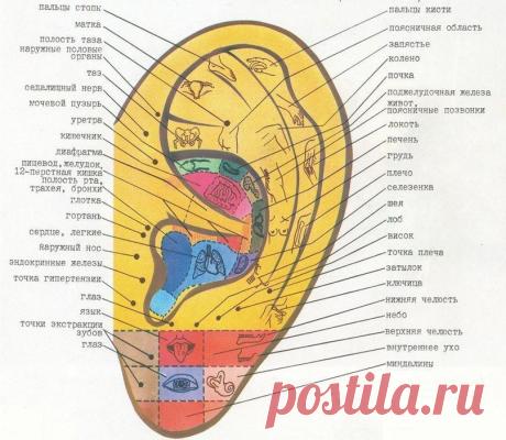 Массаж на все случаи жизни | My Milady