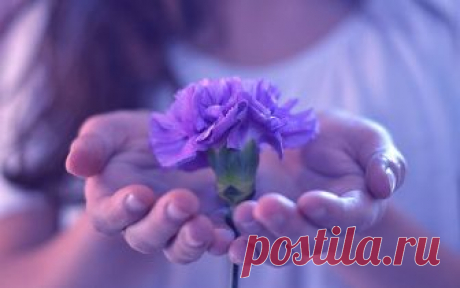 Зло, которое Вы делаете, остаётся с Вами, а добро возвращается к Вам! - interesno.win Почему все меньше добра в этом мире? Потому что каждый ожидает благодарности...