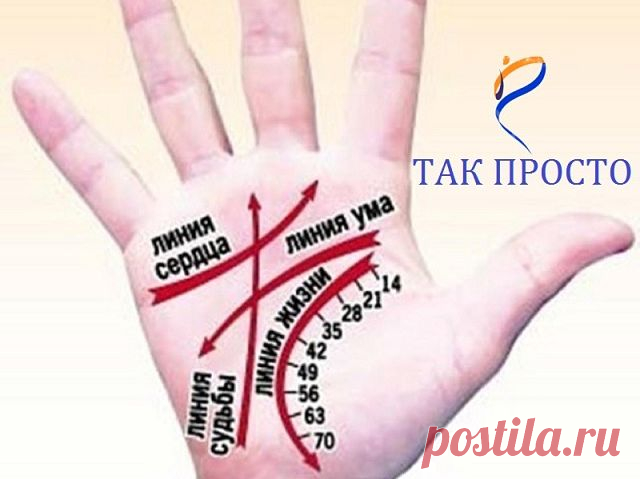 КАК ЧИТАТЬ ЛИНИИ НА РУКАХ