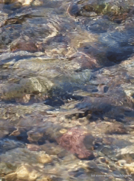 tumblr_pdc0tro6c11vj0ol1o1_540.gif (Изображение GIF, 540 × 729 пикселов)