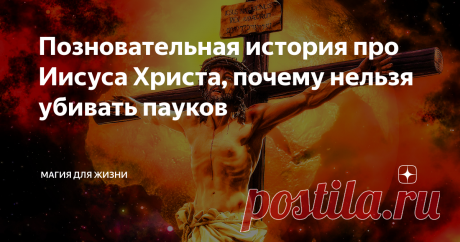 Позновательная история про Иисуса Христа, почему нельзя убивать пауков Давным давно, один человек очень юного возраста, а также его мать и отец убегали от людей преследовавших их и вот когда уже совсем не было сил бежать дальше, они увидели в земле большую яму которая была покрыта огромной паутиной.
Они решили там спрятаться, преследователи этого семейства проходя мимо не смогли их увидеть, так как вся яма была покрыта обильным слоем паутины и прошли даже не заподозр