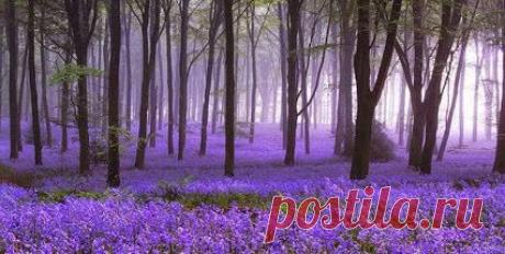 Никогда не опускай свою планку из-за того, что кто-то не может до неё подняться..﻿