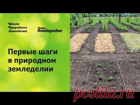 Первые шаги в природном земледелии