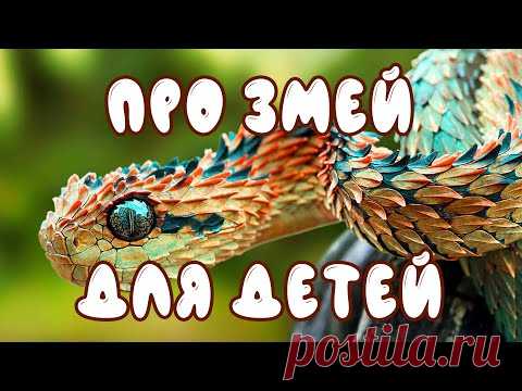 Про змей для детей | Развивающие видео для малышей | дикие животные - карточки Домана - YouTube