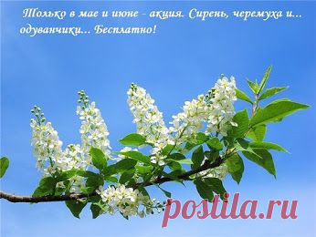 Google+
