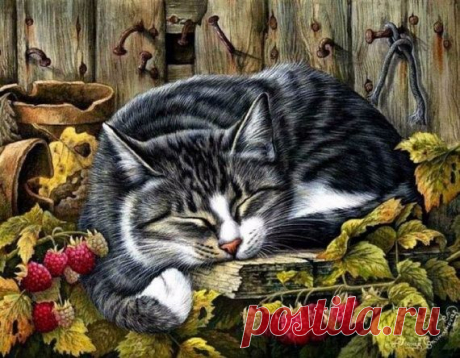 Коты / Декупаж / Картинки для декупажа