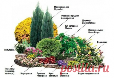 От весны и до осени.Создайте цветник непрерывного цветения