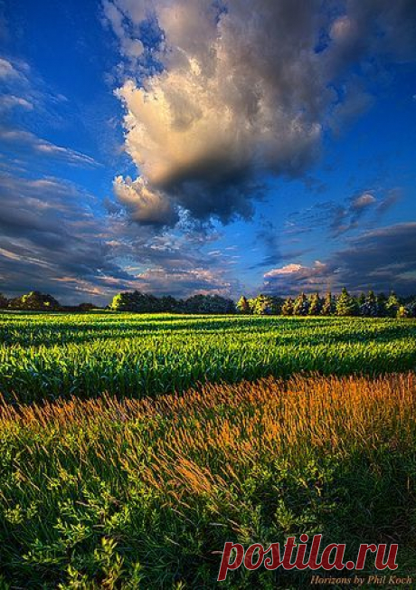 Belle nature
