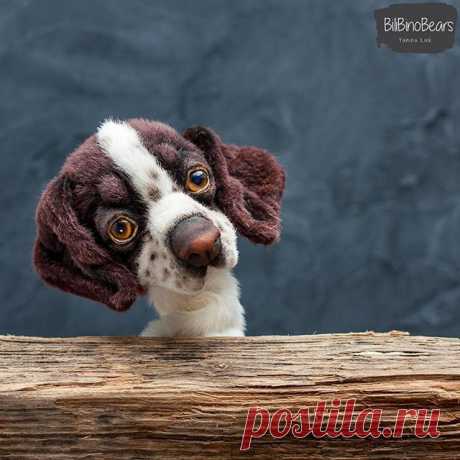 Say woof😀
.
Мы малость перепуганы количеством просмотров вчерашнего "бумеранга"🙊
Говорим вам ГАВ и идеи шить лапы. Всем воздушный😘
.
#bilibinobears #gsp #germanshorthairedpointer #pointer #dog #teddybearartist #toy #puppyface #ooak #artisttdoll #doll #artistteddy #dog #artwork #gspofinstagram #пойнтер #собака #artistwork #gspoftheday #puppylove #gundog #waterdog