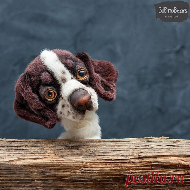 Say woof😀
.
Мы малость перепуганы количеством просмотров вчерашнего 