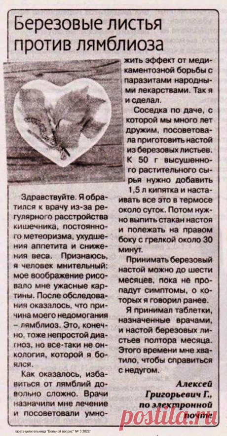 Березовые листья против лямблиоза