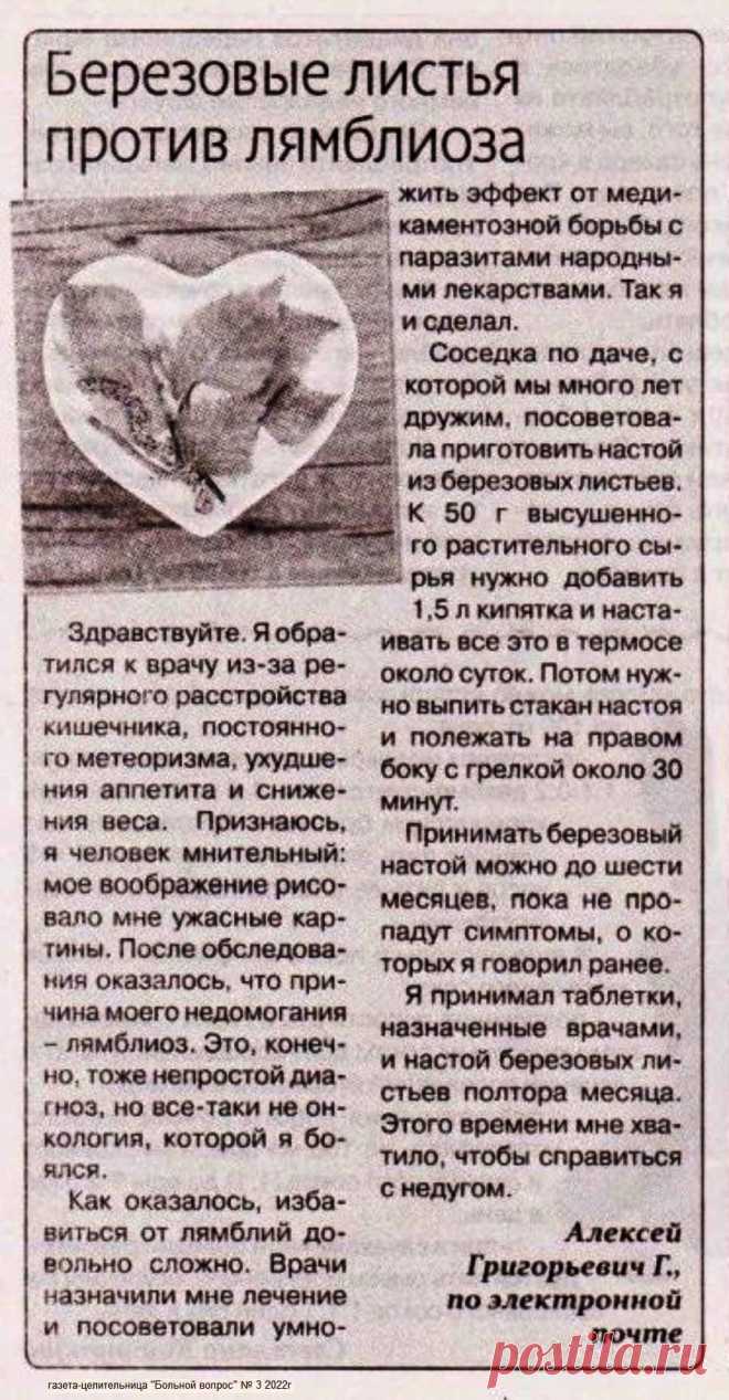 Березовые листья против лямблиоза