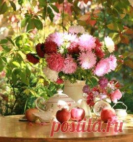 Это большая удача в жизни, найти человека, на которого приятно смотреть, интересно слушать, искренне смеяться и с нетерпением ждать встречи...