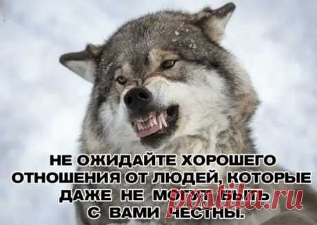 OK.RU