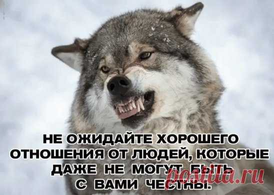 OK.RU