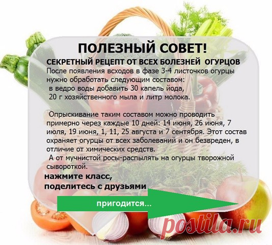 УЗЕЛОК НА ПАМЯТЬ. Огородникам