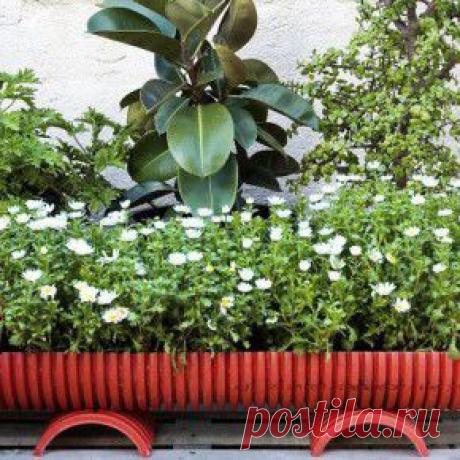 дача из контейнеров - Поиск в Google