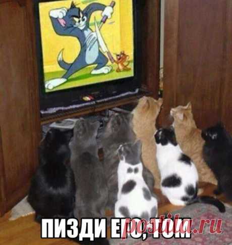 Галым Айтмагамбетов