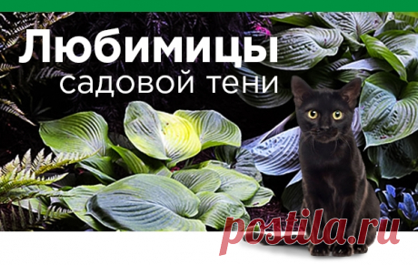 Почта Mail.ru