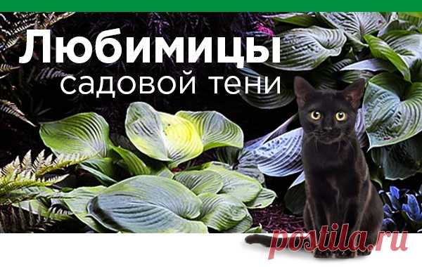 Почта Mail.ru