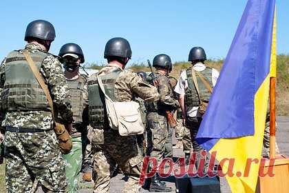 Появились подробности казни бойца ЧВК «Вагнер» на Украине. Бойца частной военной компании «Вагнер» Евгения Нужина, сдавшегося Вооруженным силами Украины (ВСУ) насмерть забили кувалдой за предастельство. О подробностях его казни сообщает издание Baza. По данным источника, для украинской стороны эта история выглядит сейчас неприятно.