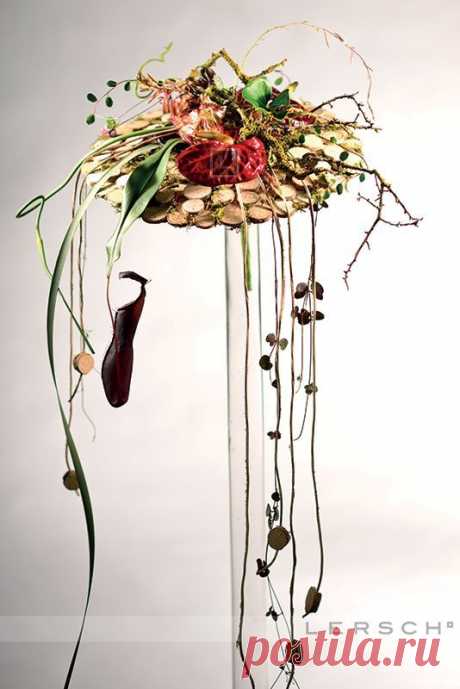 Найдено на сайте occasioncarmel.com.