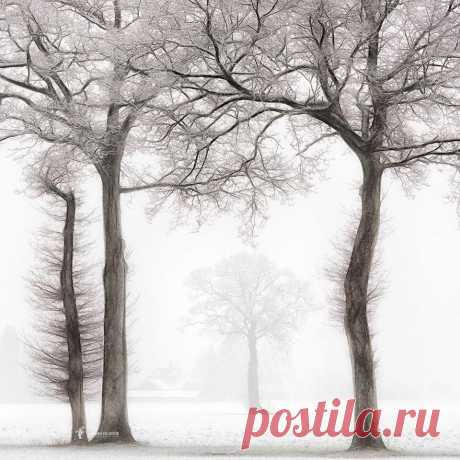 A Lifetime Photography