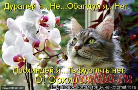 original.jpg (640×416)