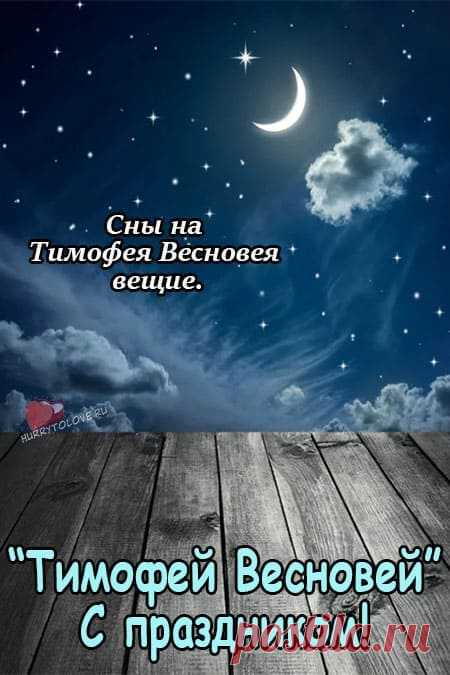 Тимофей Весновей!