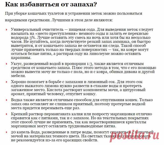 6 народных средств чем убрать запах кошачьей мочи