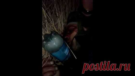 Укро-фашисты зарезали ополченцев на блокпосту у Горловки (видео +21)