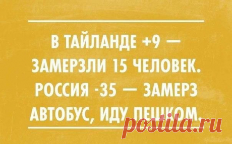 Подборка автоприколов выходного дня | Автоблоги