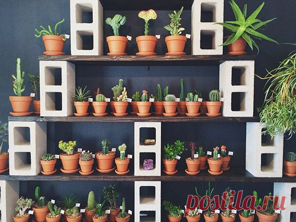 16 идей мебели из шлакоблоков