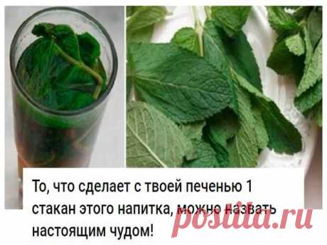 То, что сделает с твоей печенью 1 стакан этого напитка, можно назвать настоящим чудом! То, что сделает с твоей печенью 1 стакан этого напитка, можно назвать настоящим чудом!

Если печень перегружена или плохо работает, мы сразу же это чувствуем. Слабость, нехватка энергии, головокружение, тошнота, боль в правом подреберье, проблемы с пищеварением и кожная сыпь — всё это признаки того, что с печенью непорядок.

Очищение печени в домашних условиях возможно благодаря простому...
