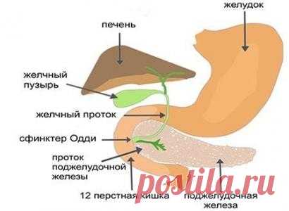 Лечебное питание при панкреатите