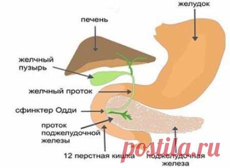 Лечебное питание при панкреатите