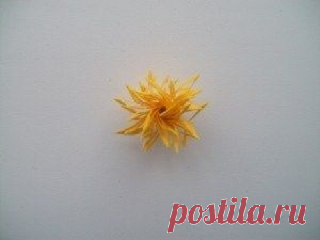 Астры из офисной бумаги.