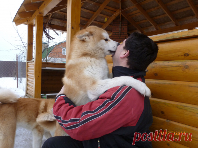 встреча любимого хозяина