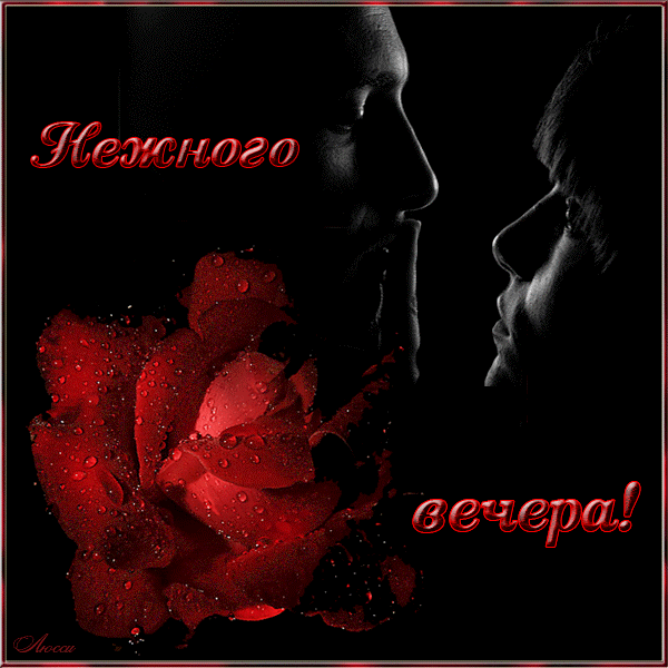 ***Давай Друг Другу Радость Приносить,,,***