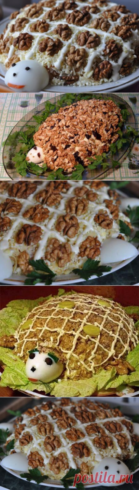 Салат Черепаха, рецепт с фото: с курицей, с грецкими орехами