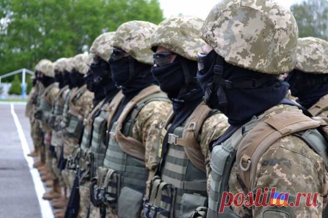 Что представляют собой ССО Украины | Выживи сам