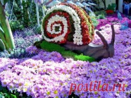 Красивые клумбы для сада