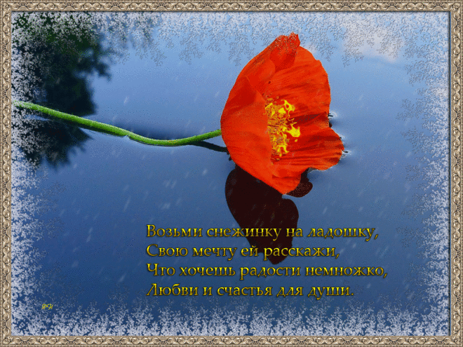 Lyubvi-i-schastya-dlya-dushi..gif (1024×768)