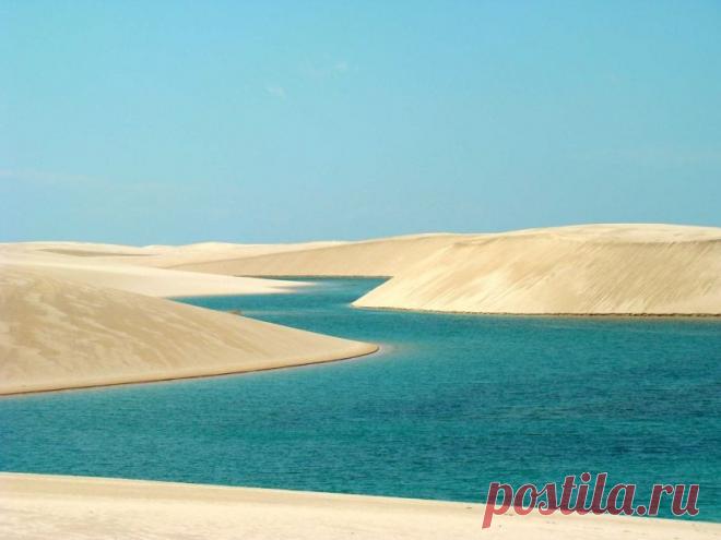 Белое безмолвие — Наука и жизнь